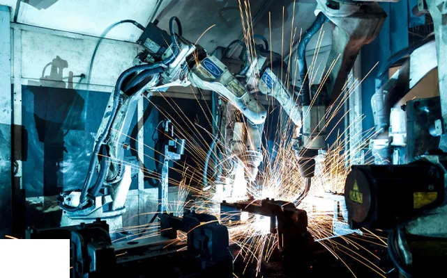 Innovation and Expertise