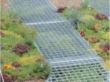 Irregular Steel Grating