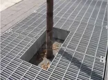 Steel Grating Tree Cover