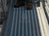 Diamond-Strut Safety Grating